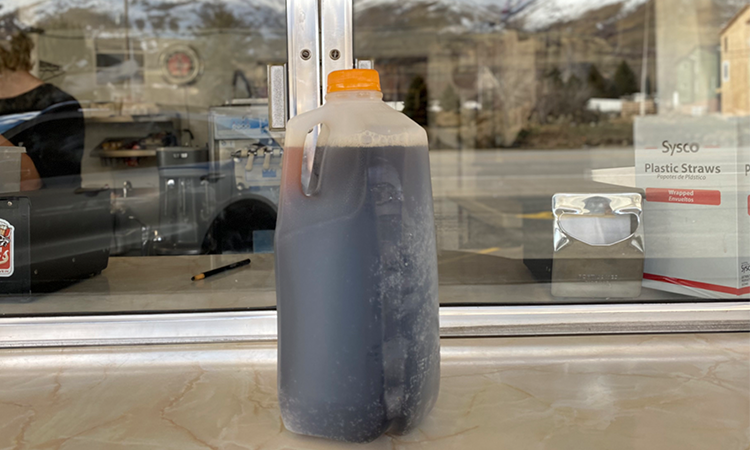 Half Gallon Root Beer
